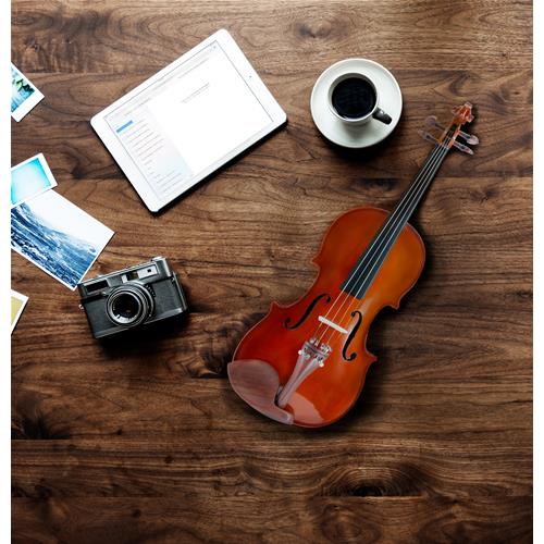 ffalstaff Viola da 40,6 cm Massello "Accademy" Finitura Lucida, parti in Palissandro (Custodia Sagomata)