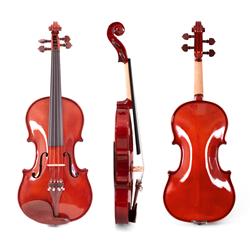 ffalstaff Violino 4/4 Massello "Accademy" Finitura Lucida, parti in Palissandro (Custodia Rettangolare ed Accessori)