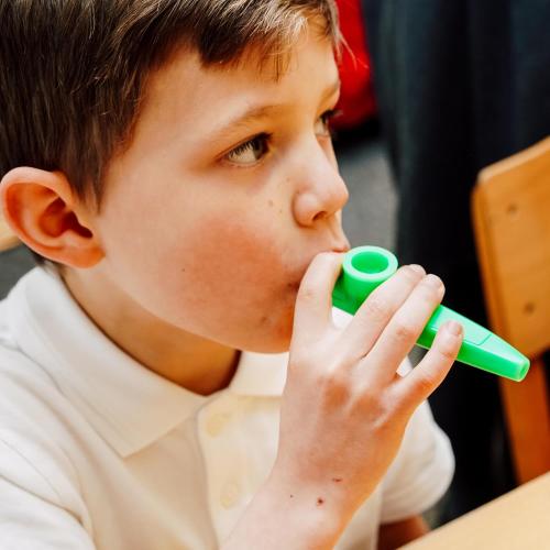 ffalstaff Kazoo Colorati in Plastica Resistente - Ideale per Bambini e Adulti (5 colorazioni differenti - Blu, Viola, Giallo, Rosso, Verde)