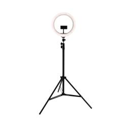 ffalstaff Ring Light con Supporto per Smartphone Regolabile