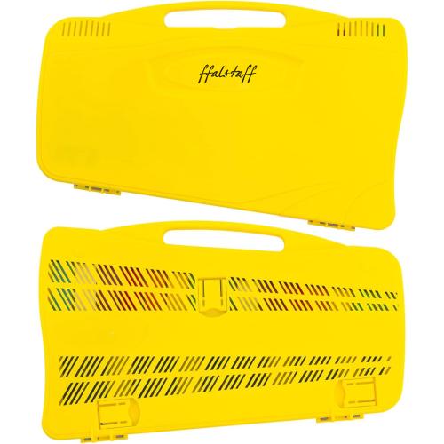 ffalstaff Metallofono Cromatico 25 Note con Piastre Colorate (Custodia Gialla)