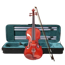 ffalstaff Violino 4/4 Massello "Accademy" Finitura Lucida, parti in Palissandro, Arco Superior, colofonia Rosin (Custodia Rettangolare ed Accessori)